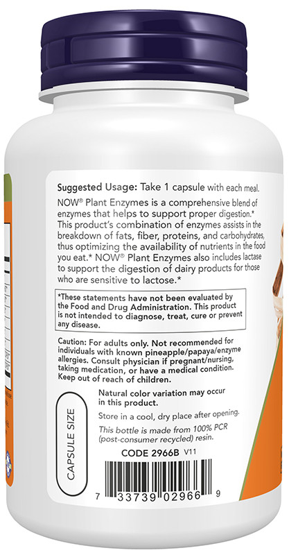 Buy Now Foods Plant Enzymes Digestion Aid Online | Faithful to Nature