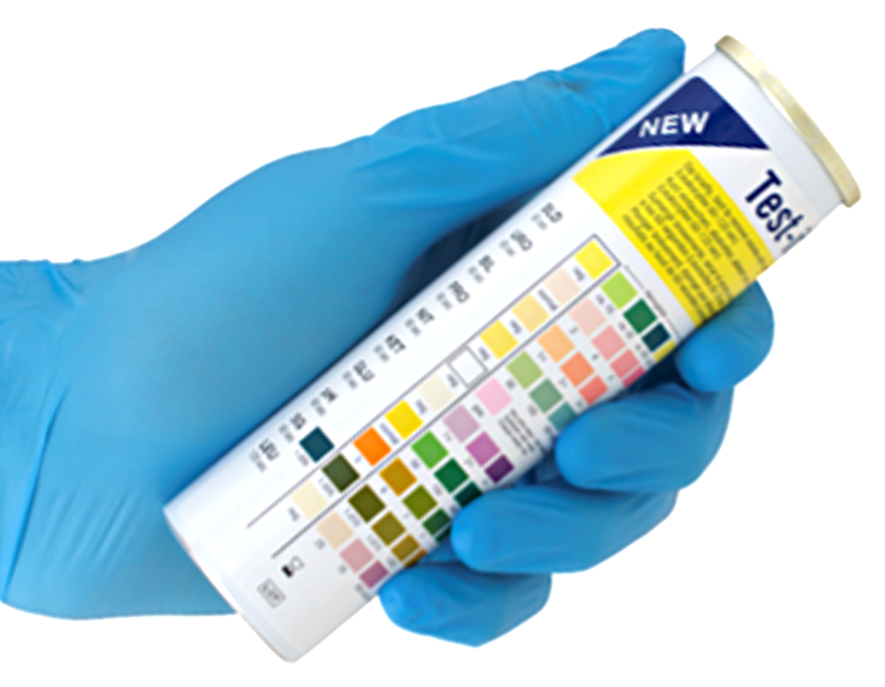 Test-it 10 Urine Test strips