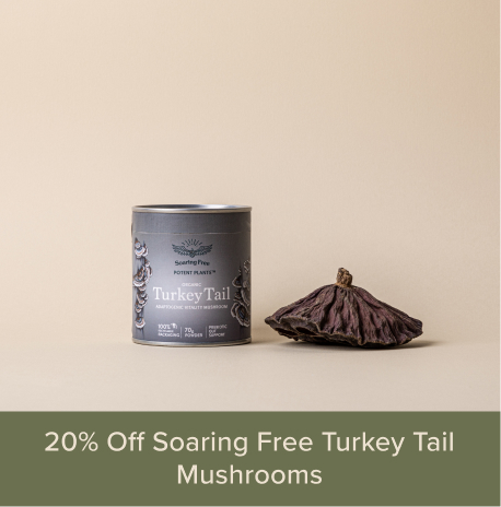 Soaring free mushroom