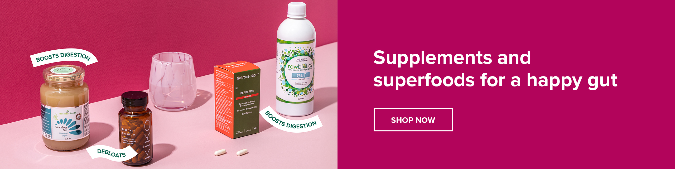 Gut Health with FtN