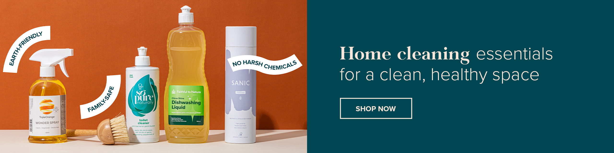 Non-toxic Cleaning Products with FtN