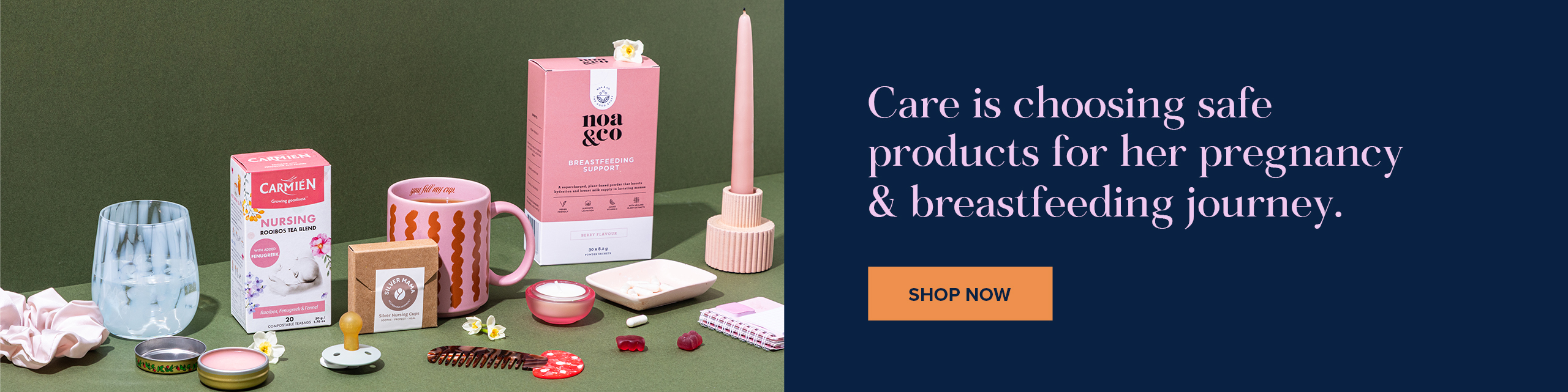 Pregnancy Care with FtN