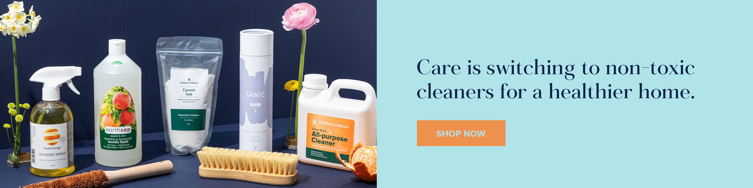 Household Cleaning with FtN