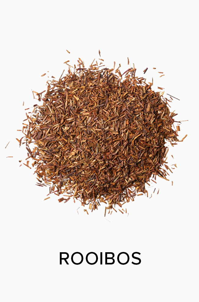 Rooibos