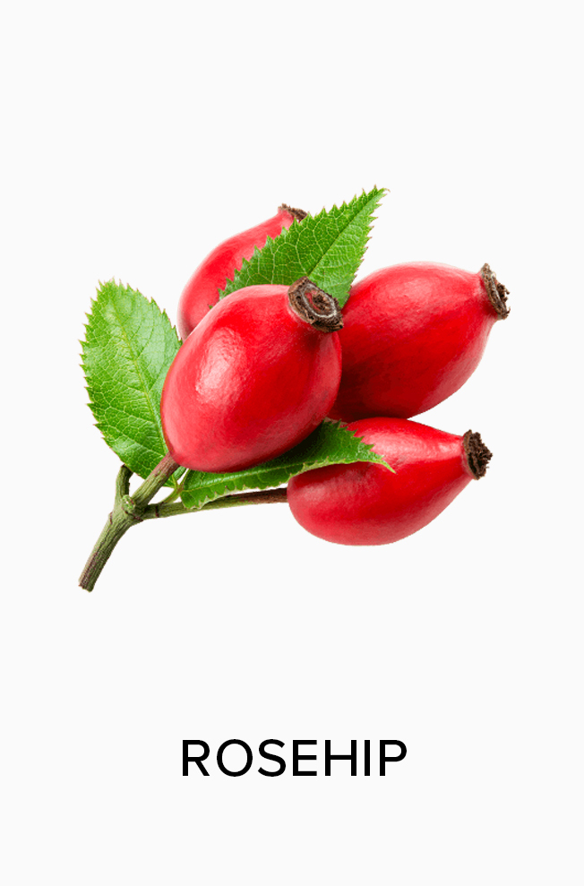 Rosehip