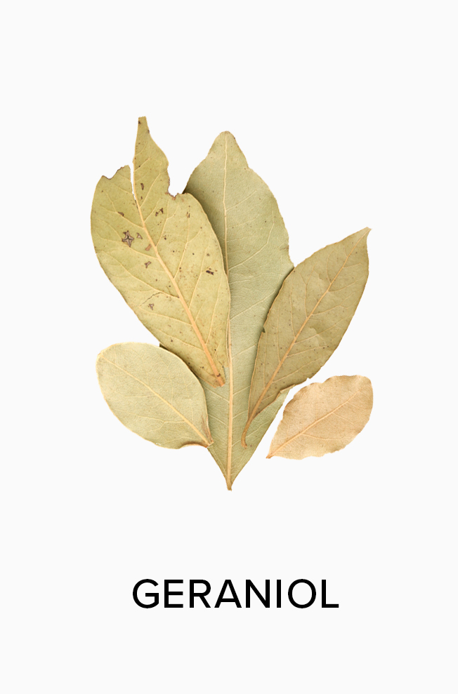 Geraniol