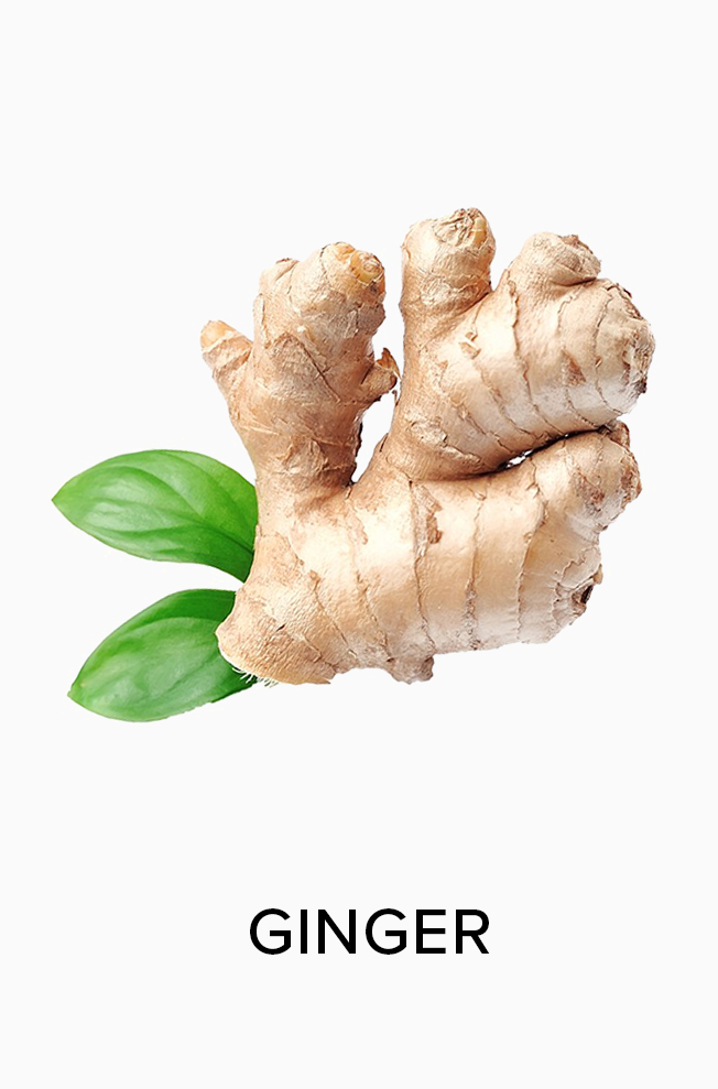 Ginger