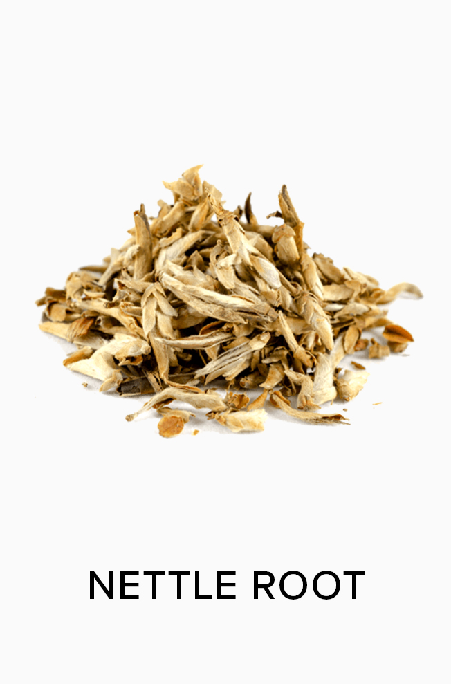 Nettle Root