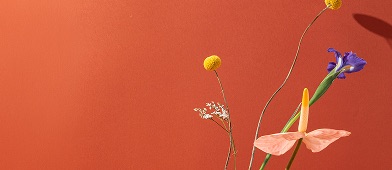 Allergies