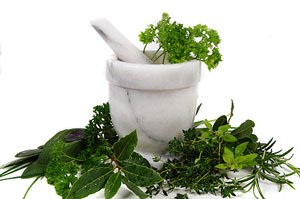 Herbs